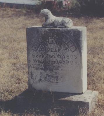 Grave of William F. Self who died in infancy